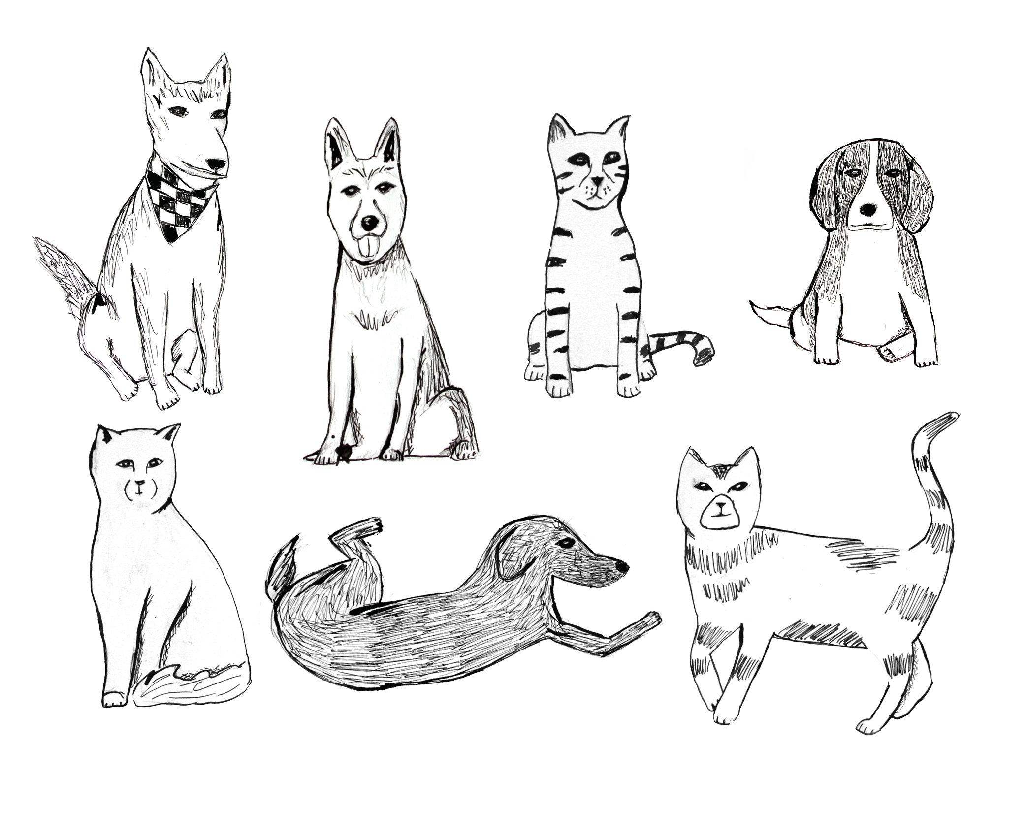 illustrations d'animaux