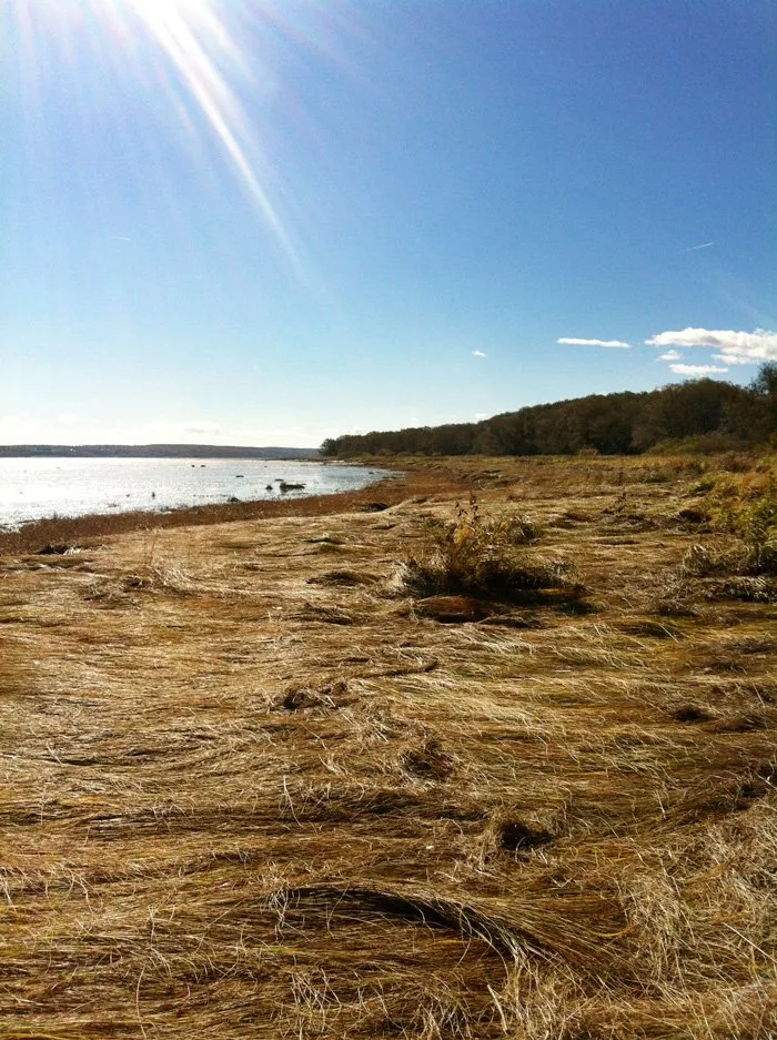 cap_tourmente14