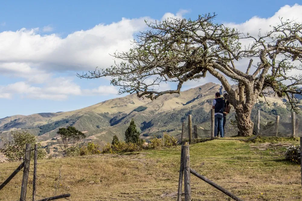 lechero_otavalo2