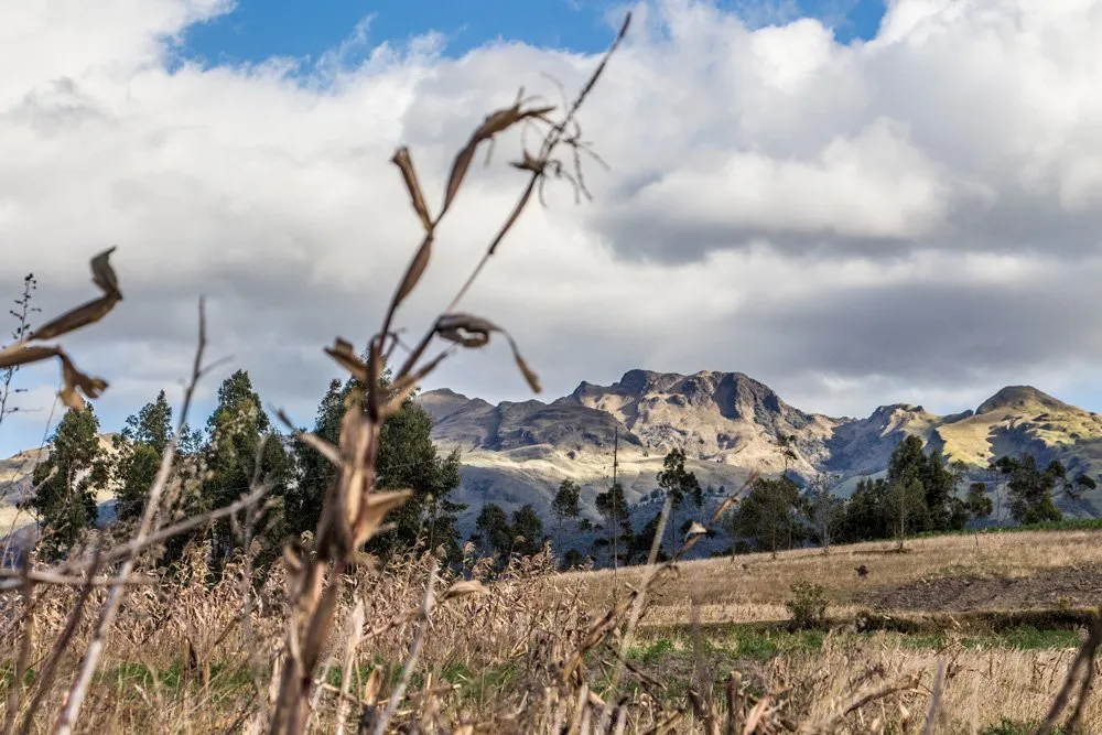 otavalo7