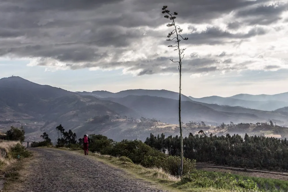 otavalo8