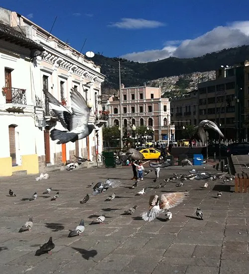 quito10