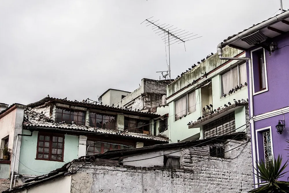 quito4