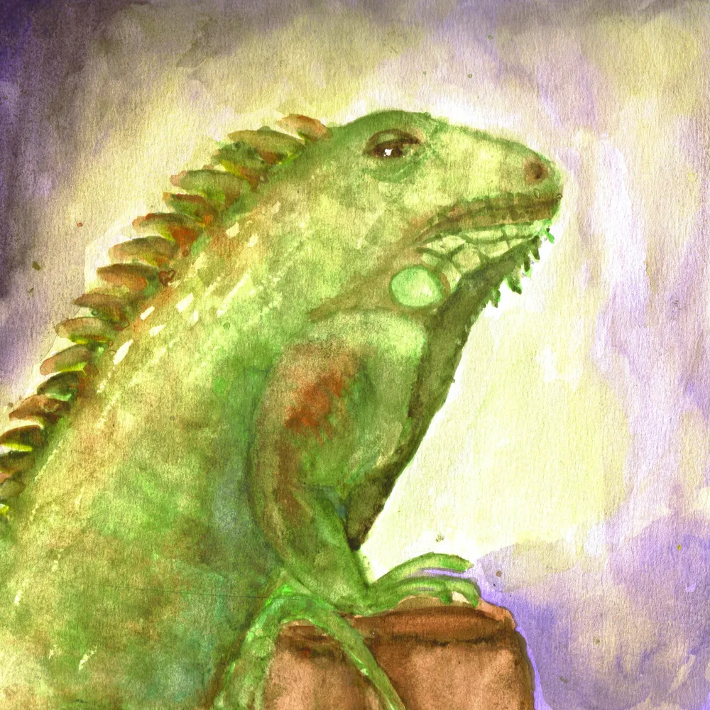Lézard - aquarelle